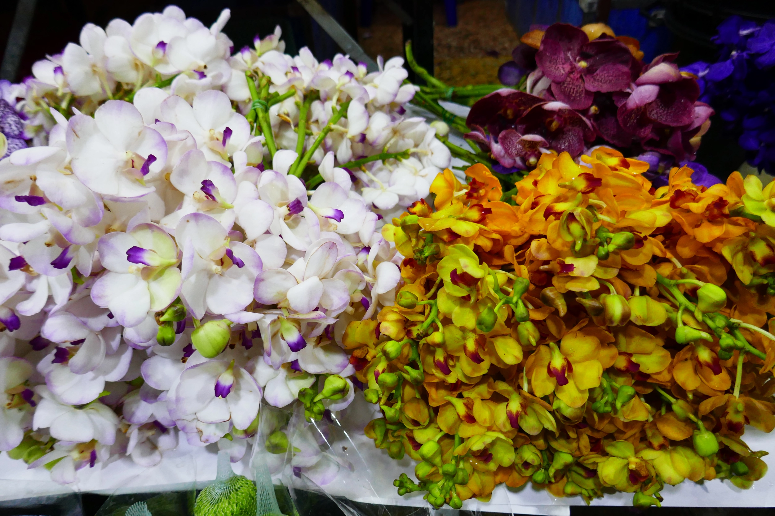 Pak Khlong Talad